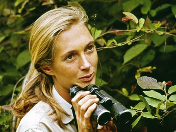 Your Life Matters: Jane Goodall (1934-2025)